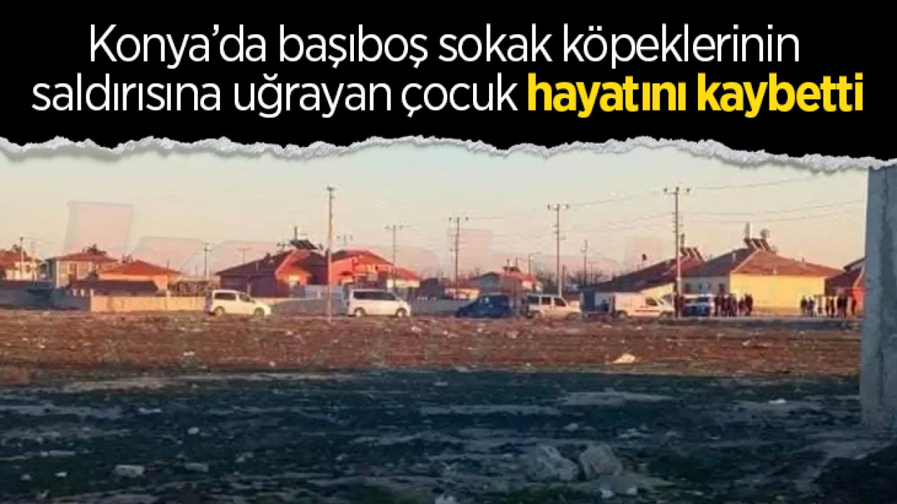 Konya'da başıboş sokak köpeklerinin saldırısına uğrayan çocuk hayatını kaybetti