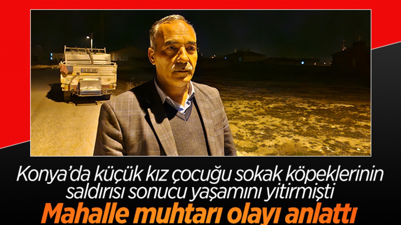 Konya'da küçük kız çocuğu sokak köpeklerinin saldırısı sonucu yaşamını yitirmişti! Mahalle muhtarı olayı anlattı