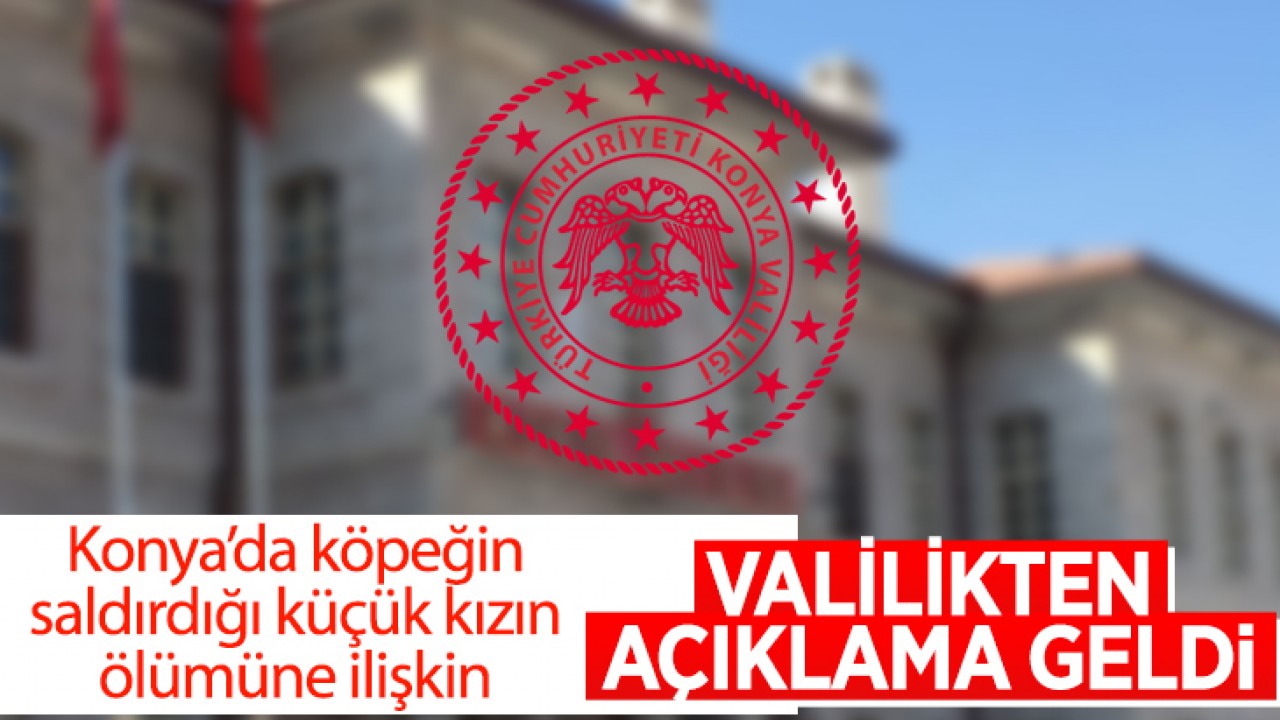 Konya'da köpeğin saldırdığı küçük çocuğun ölümüne ilişkin valilikten açıklama geldi
