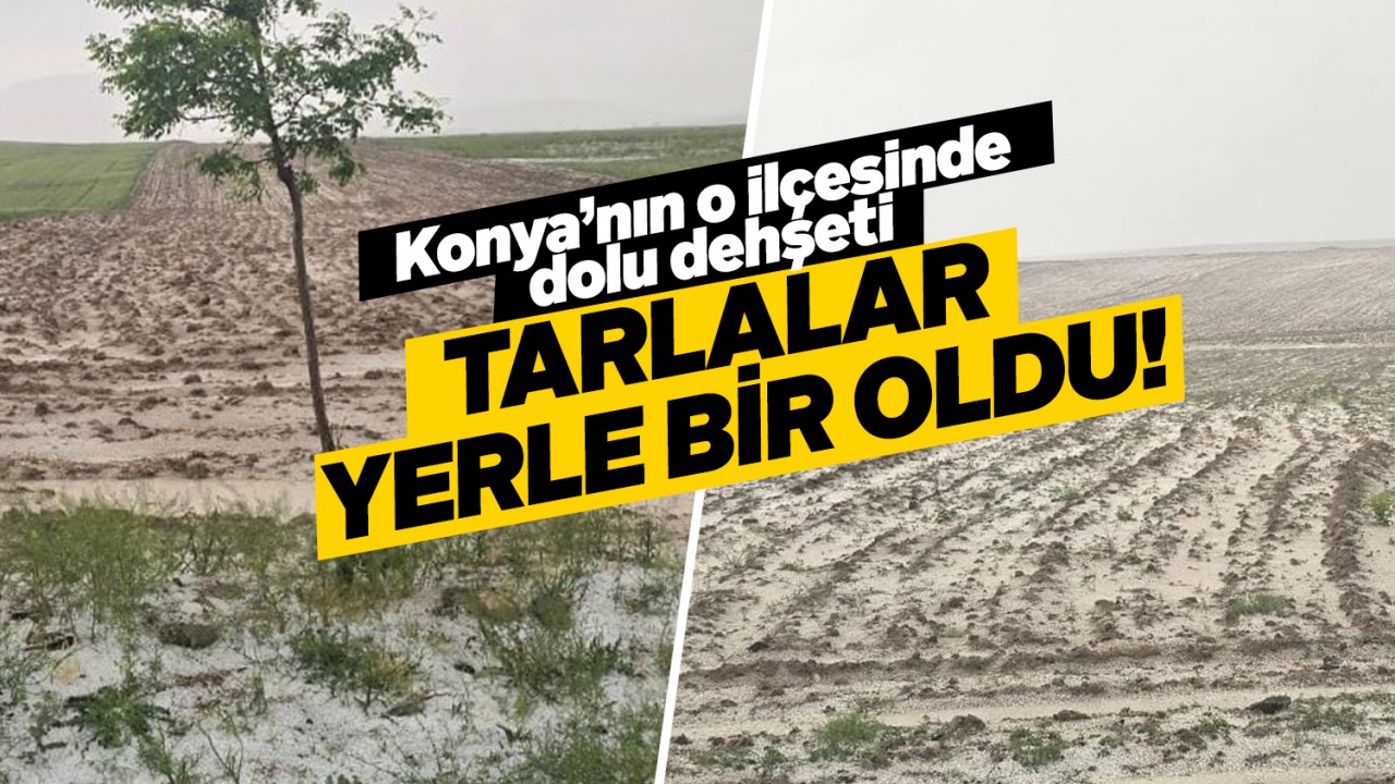 Konya'nın o ilçesinde dolu dehşeti: Tarlalar yerle bir oldu!