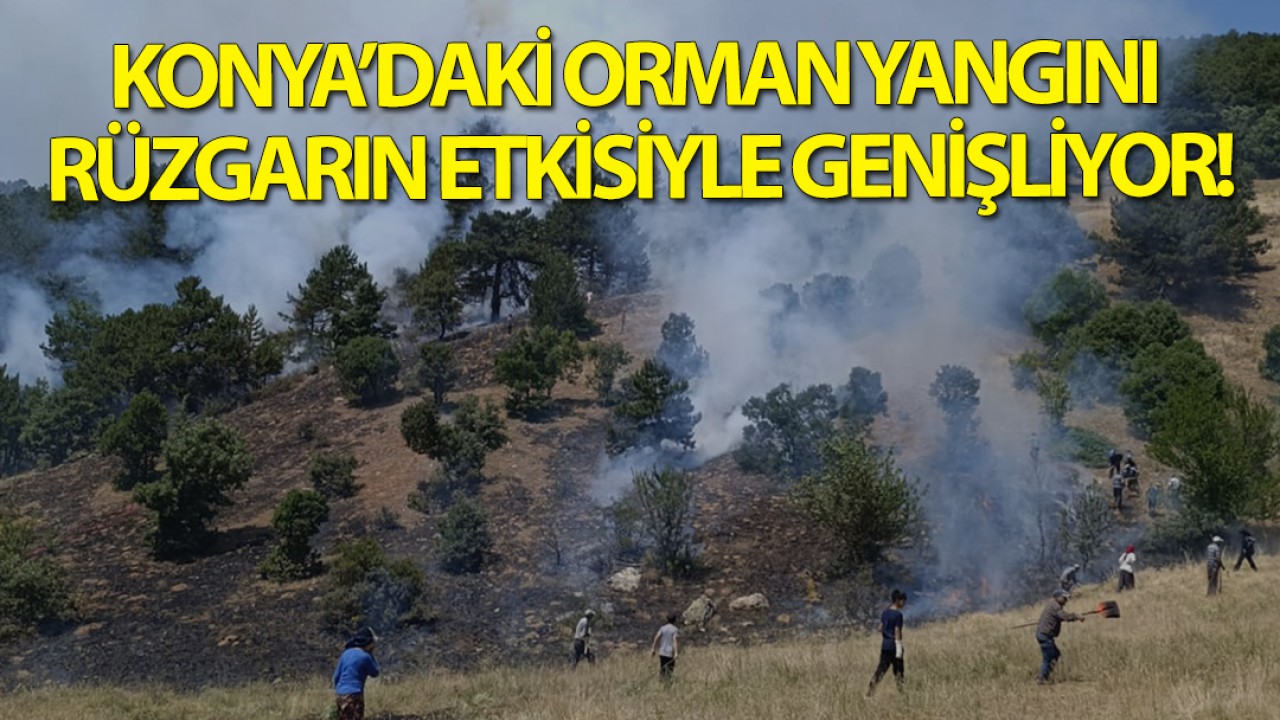 Konya’daki orman yangını rüzgarın etkisiyle büyüyor!