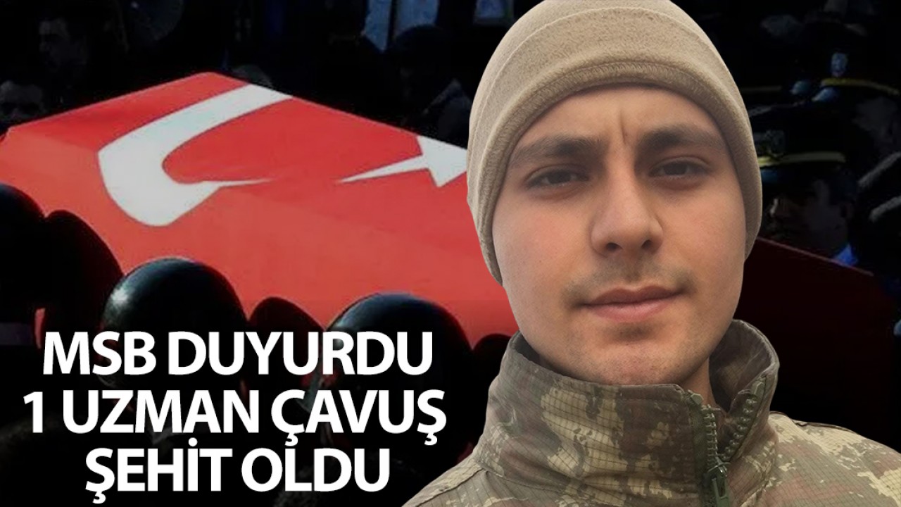 MSB duyurdu: 1 uzman çavuş şehit oldu