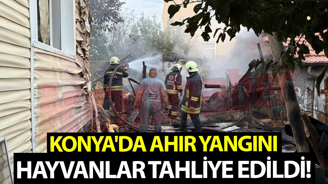 Konya'da ahır yangını: Hayvanlar tahliye edildi!