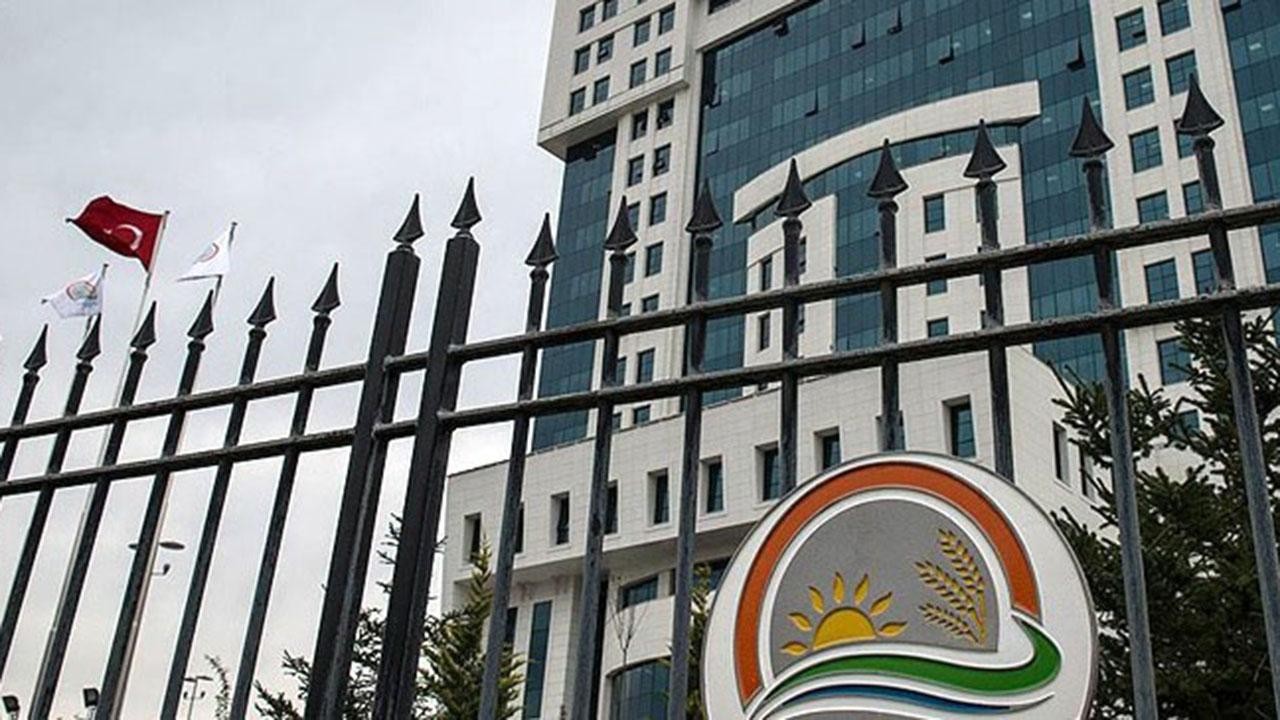 Tütün mamullerine yönelik esaslar düzenlendi