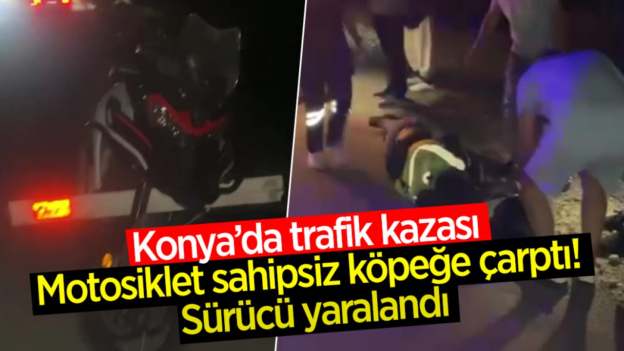 Konya’da trafik kazası: Motosiklet sahipsiz köpeğe çarptı! Sürücü yaralandı