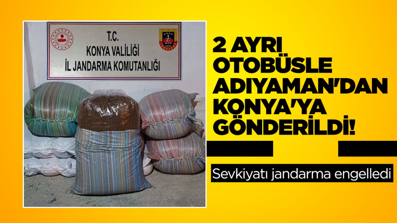 2 ayrı otobüsle Adıyaman'dan Konya'ya gönderildi! Sevkiyatı jandarma engelledi