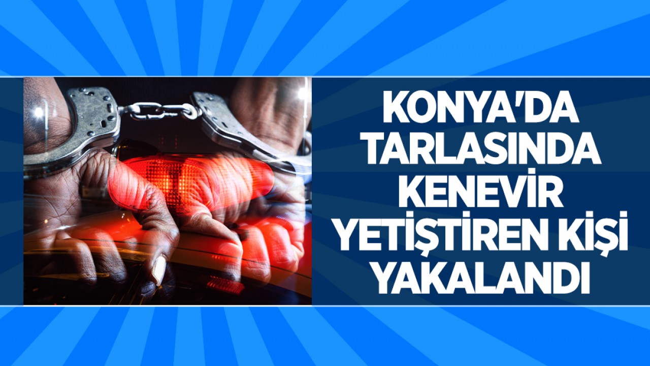 Konya'da tarlasında kenevir yetiştiren kişi yakalandı