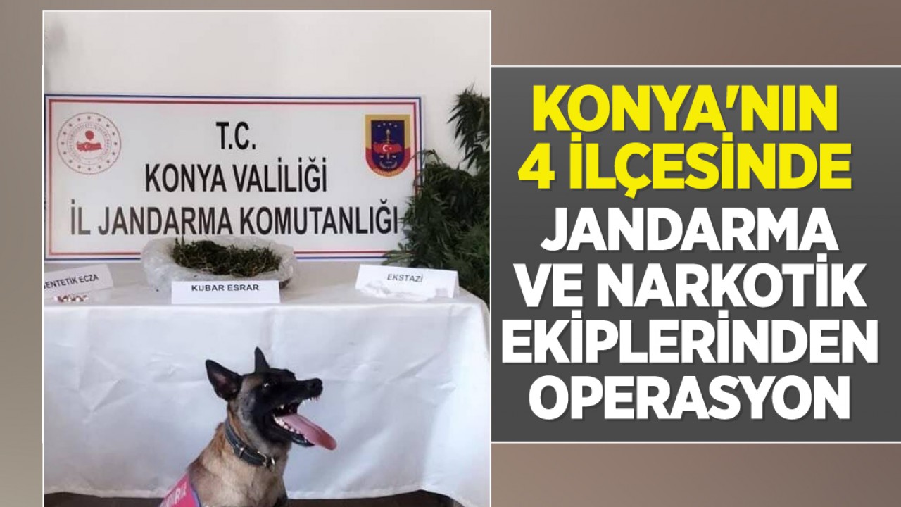 Konya'nın 4 ilçesinde jandarma ve narkotik ekiplerinden operasyon