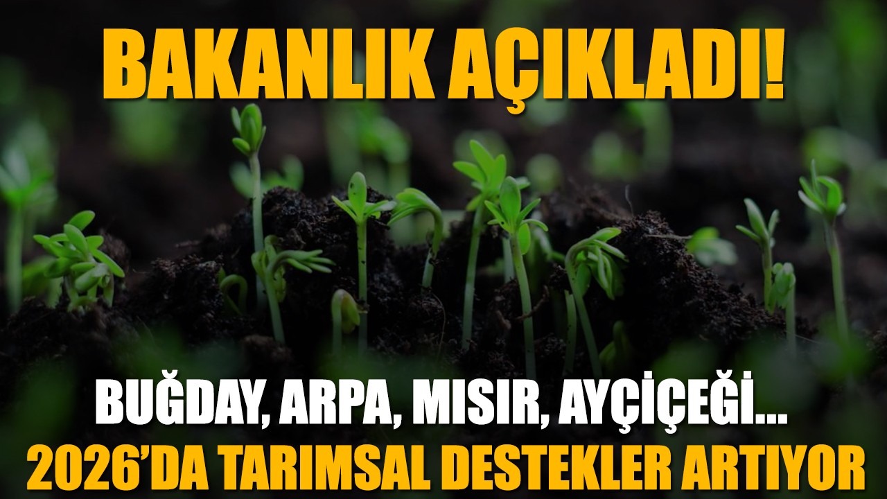 Bakanlık açıkladı: Buğday, arpa, mısır, ayçiçeği... 2026’da tarımsal destekler artıyor