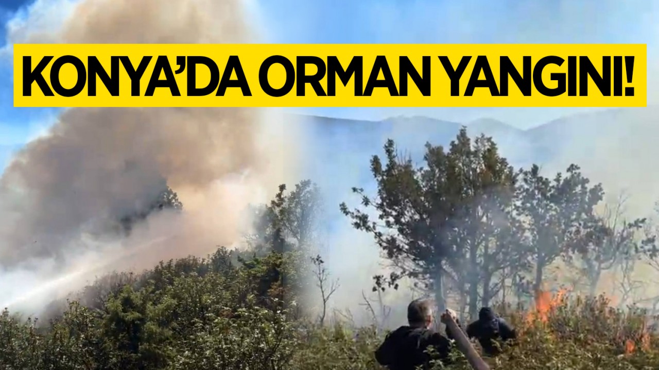 Konya'da orman yangını!