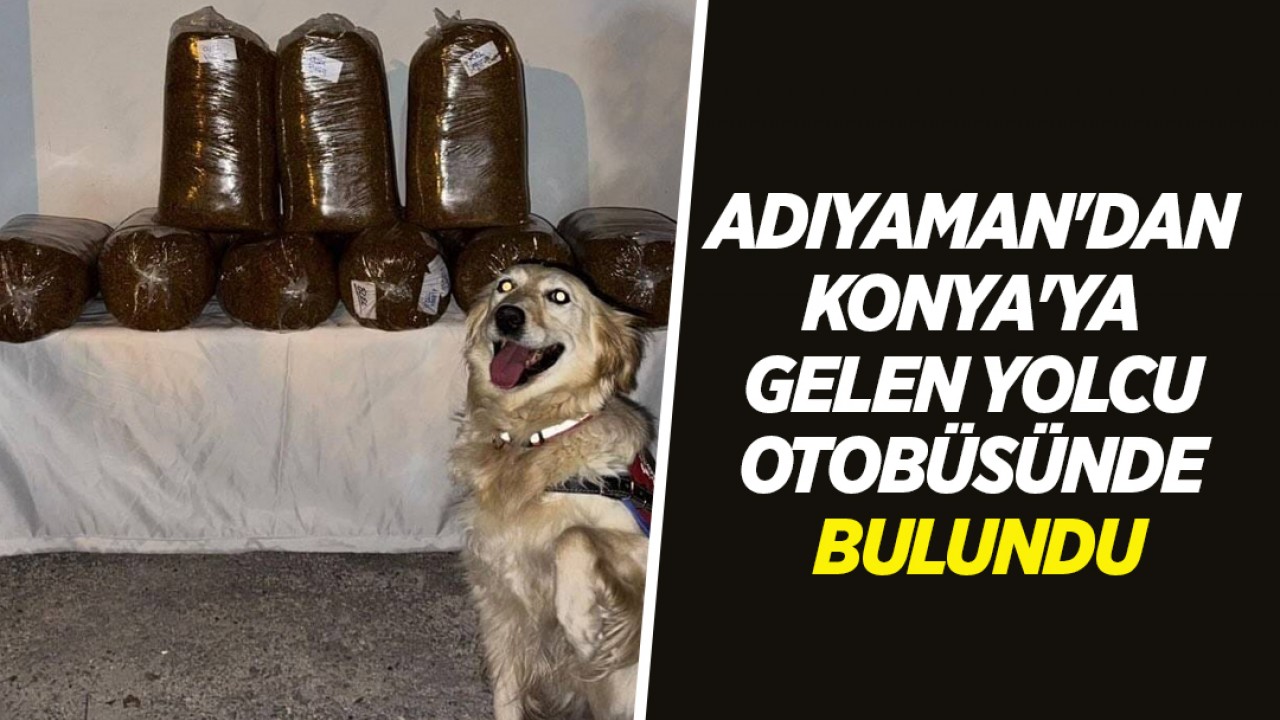 Adıyaman'dan Konya'ya gelen yolcu otobüsünde bulundu