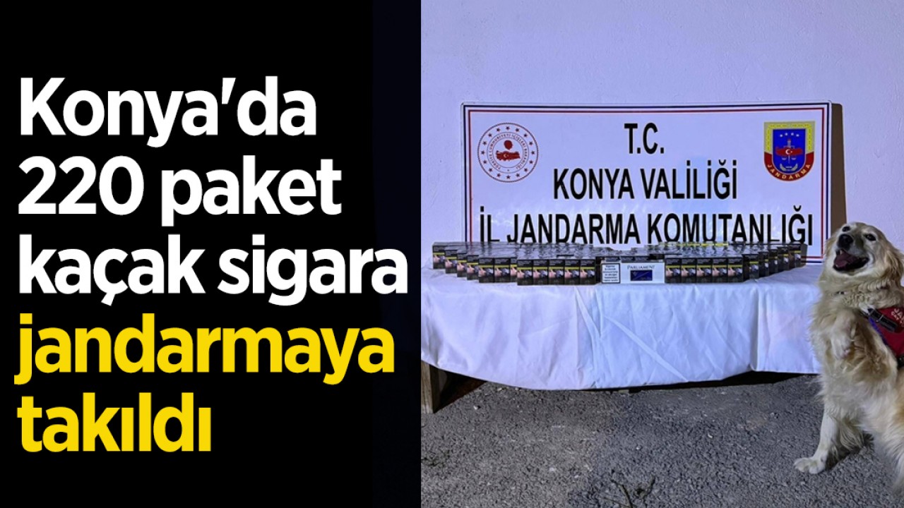 Konya'da 220 paket kaçak sigara jandarmaya takıldı