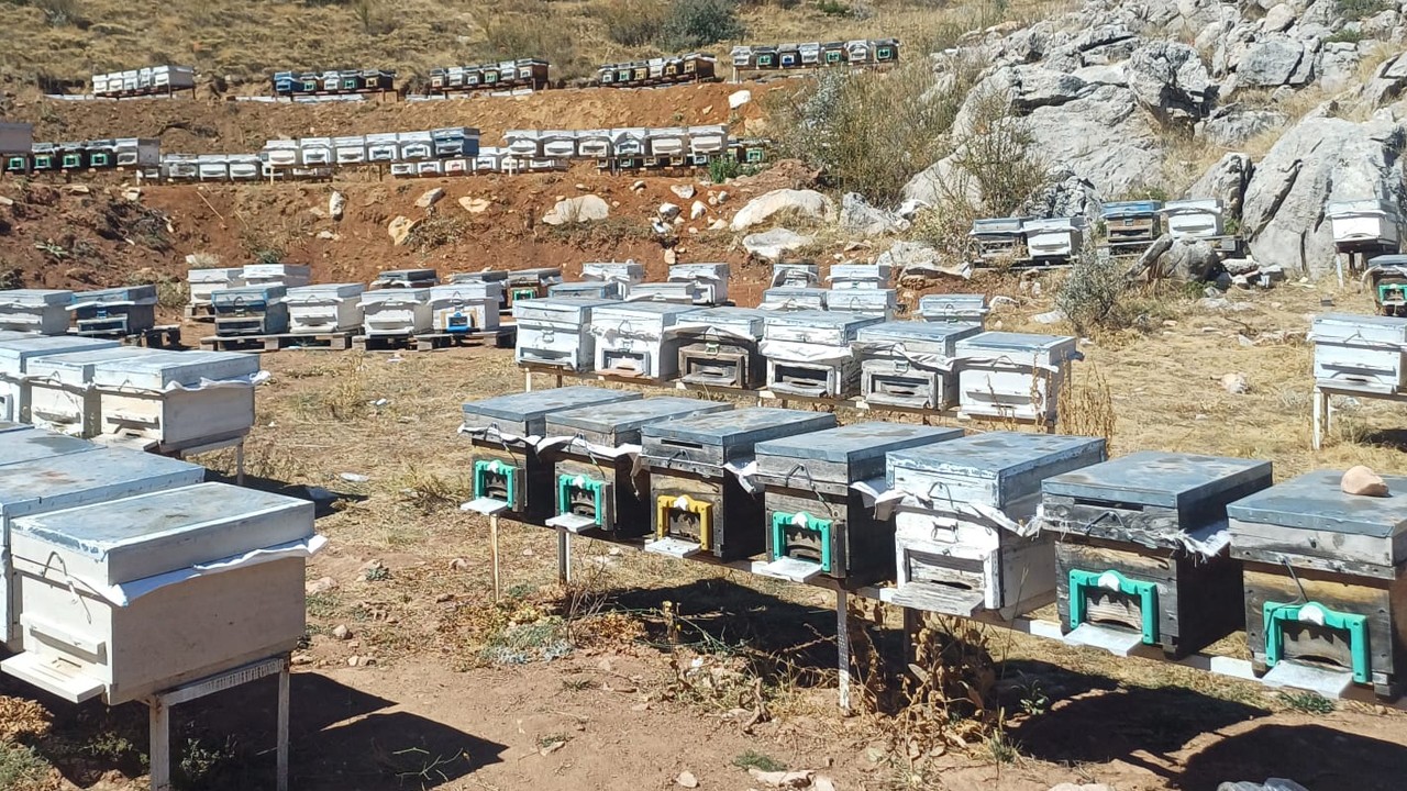 Hadim'de arılı kovan destekleme çalışmaları devam ediyor