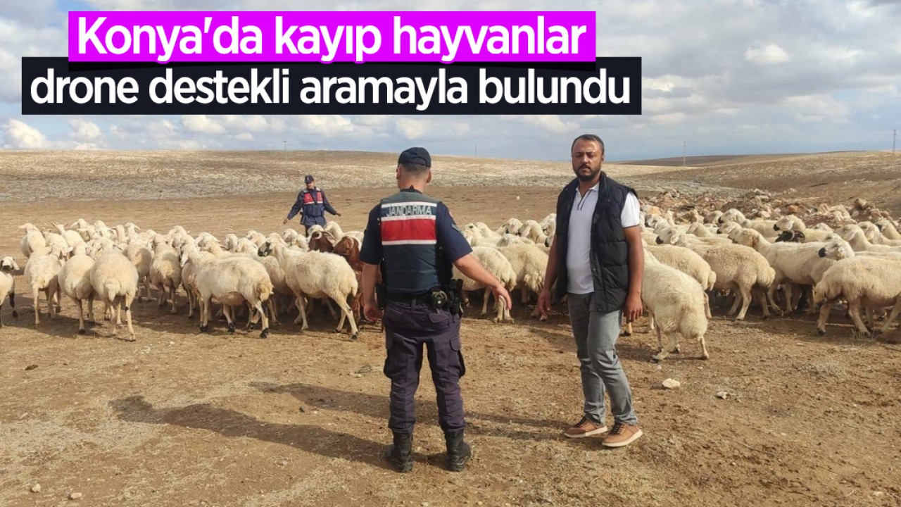 Konya'da kayıp hayvanlar drone destekli aramayla bulundu