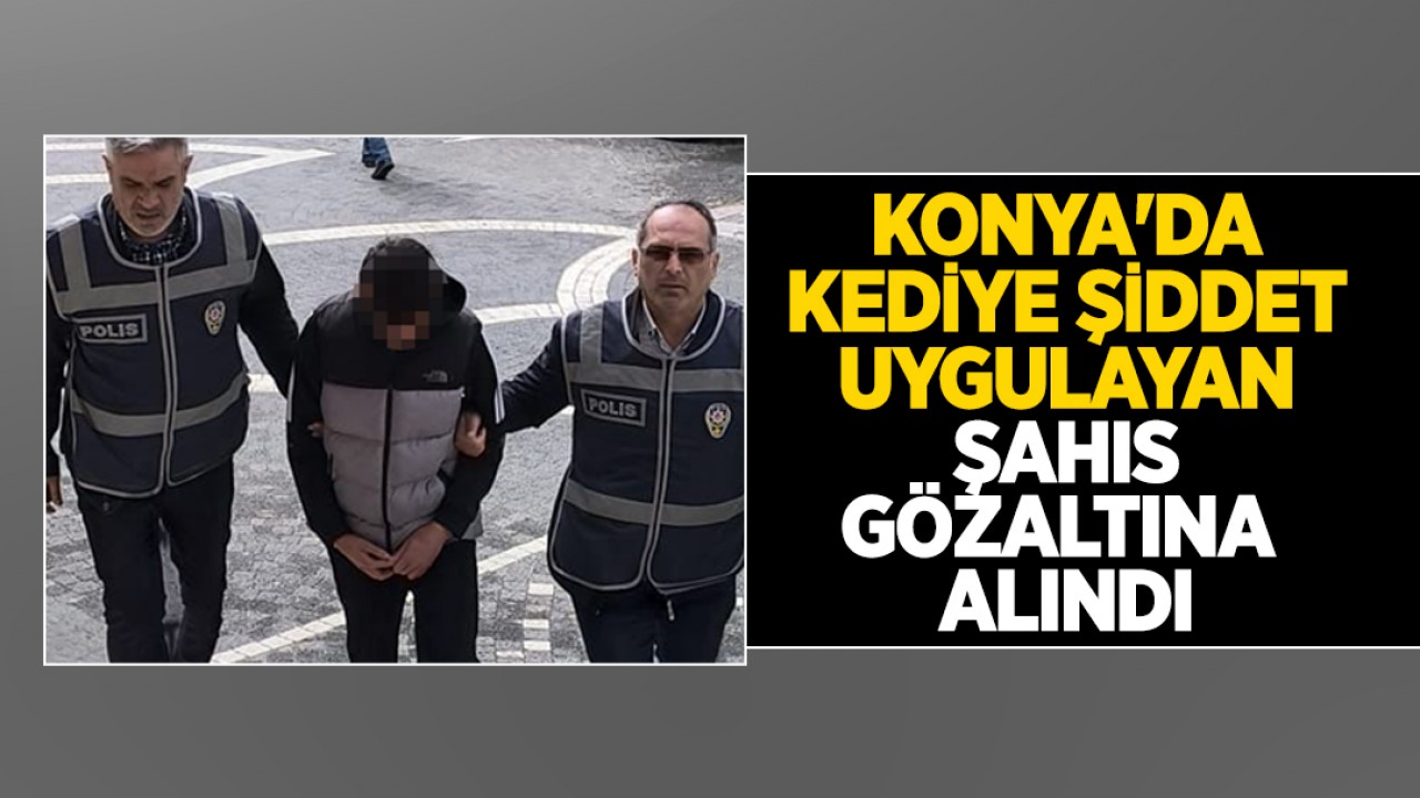 Konya'da kediye şiddet uygulayan şahıs gözaltına alındı
