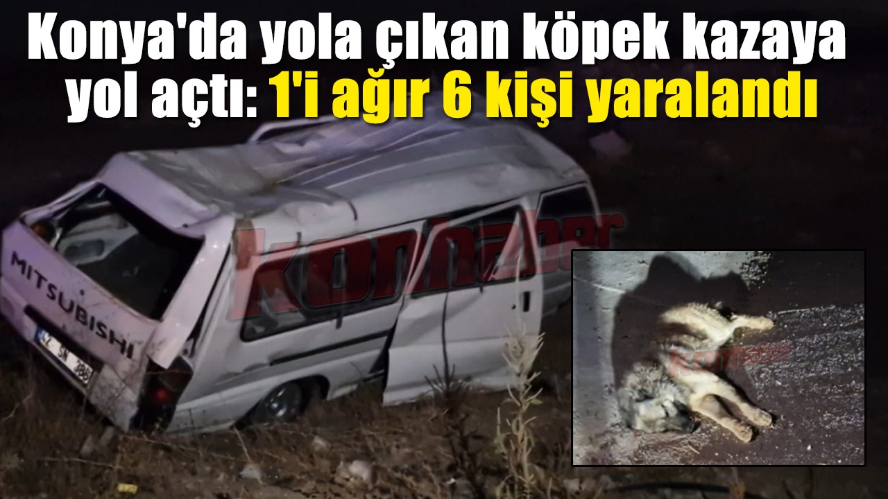Konya'da yola çıkan köpek kazaya yol açtı: 1'i ağır 6 kişi yaralandı