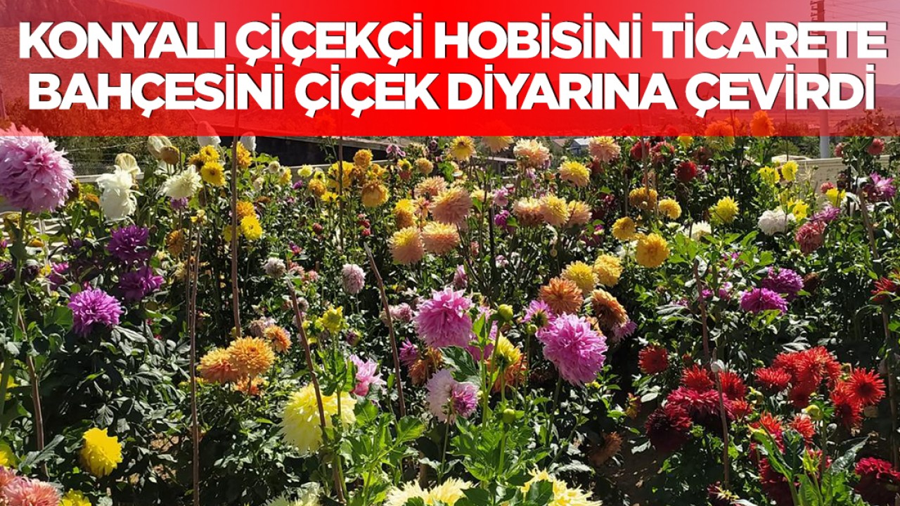 Konyalı çiçekçi hobisini ticarete, bahçesini çiçek diyarına çevirdi