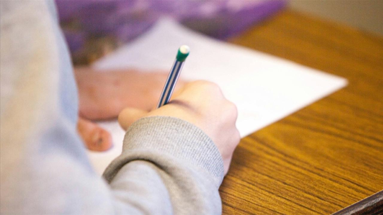 MEB, tarım işçisi ailelerin çocukları için telafi kursları hazırladı