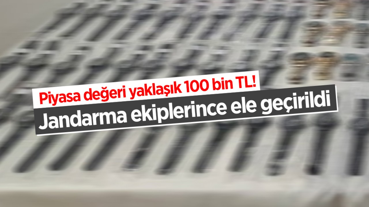 Piyasa değeri yaklaşık 100 bin TL! Jandarma ekiplerince ele geçirildi
