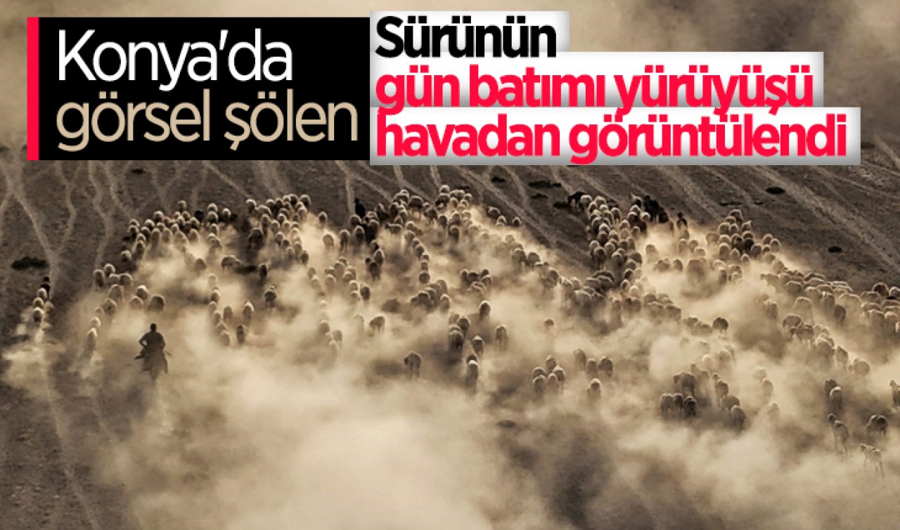 Konya'da görsel şölen: Sürünün gün batımı yürüyüşü havadan görüntülendi